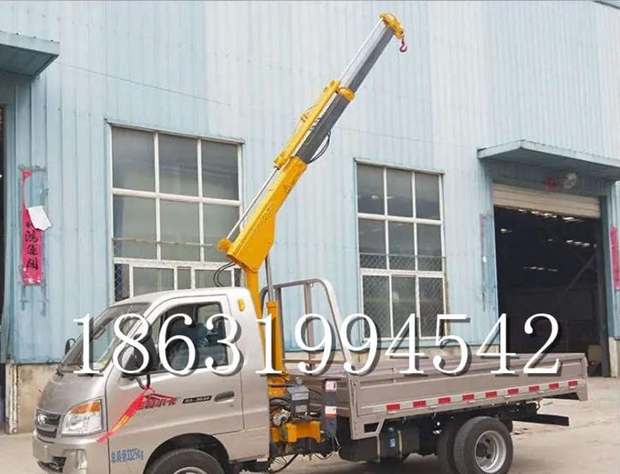武隆区车载吊机搬运车载吊机室内吊机移动小型遥控升降机220伏家用吊机